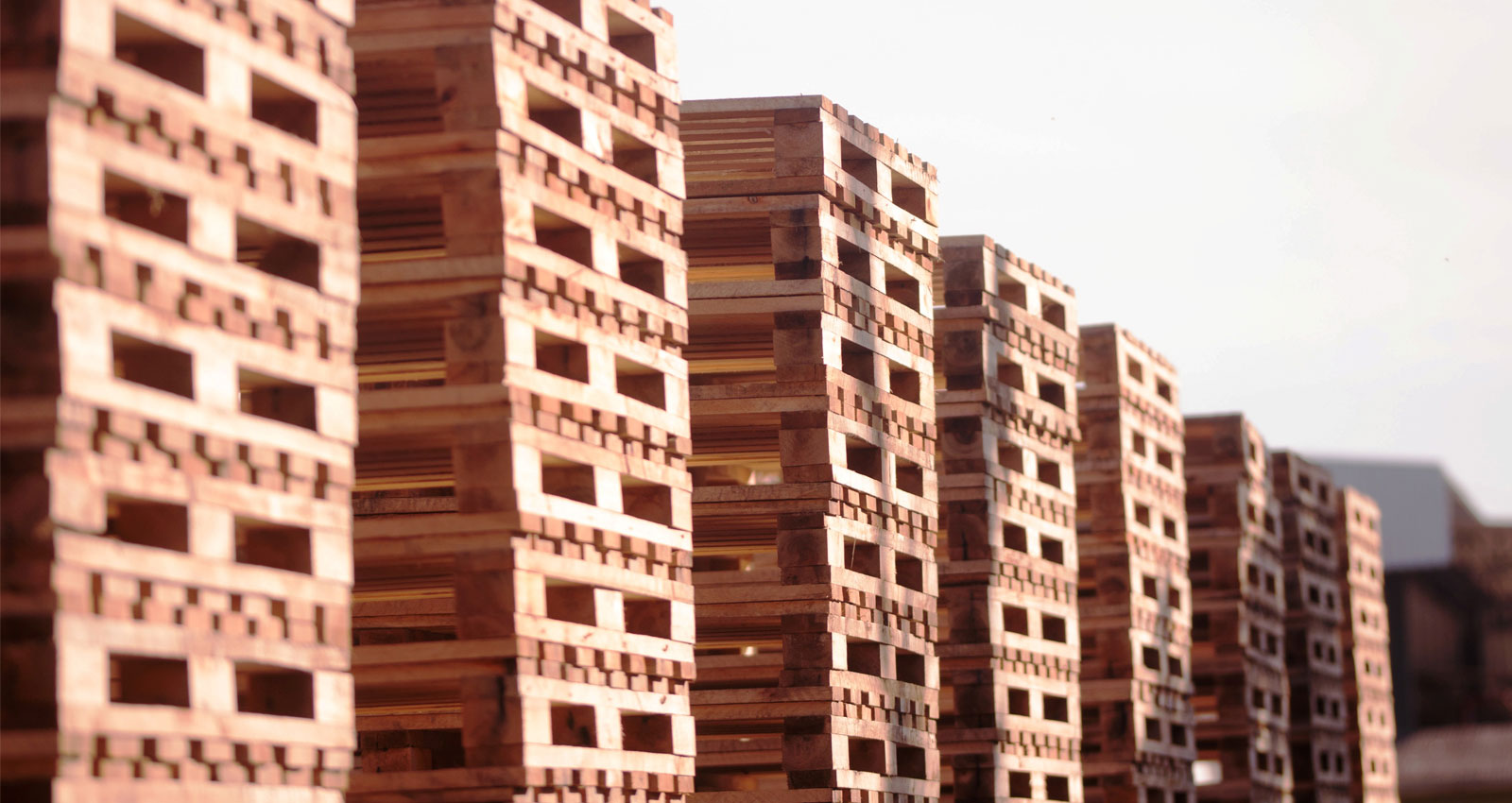 Fileira de pallets de madeira empilhados no pátio da Sulvale